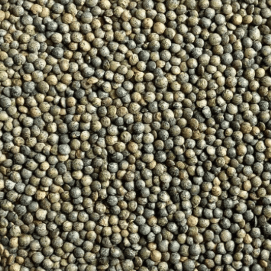Sabarot Green Puy Lentils AOP 500g