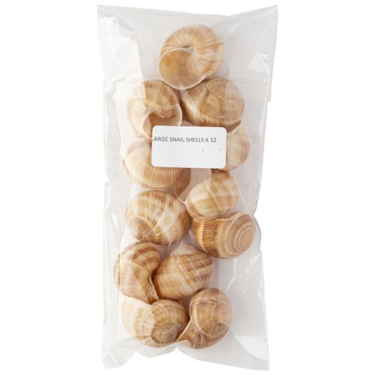Sabarot Helix Large Snail Shells x 12