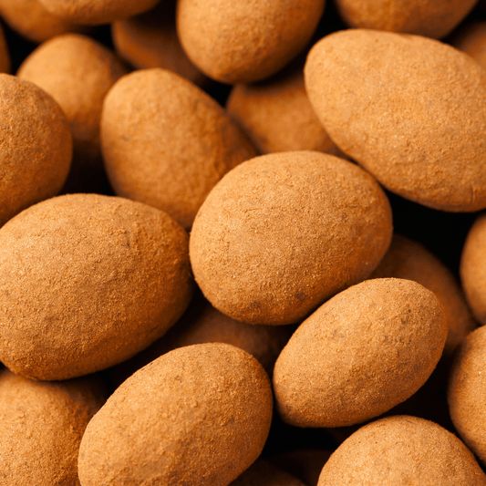 Diane de Poytiers Cocoa Dusted Chocolate Almonds 180g