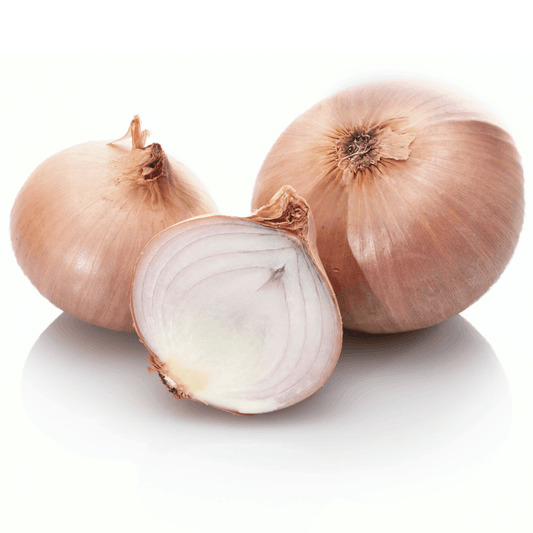 Roscoff Onions 5kg