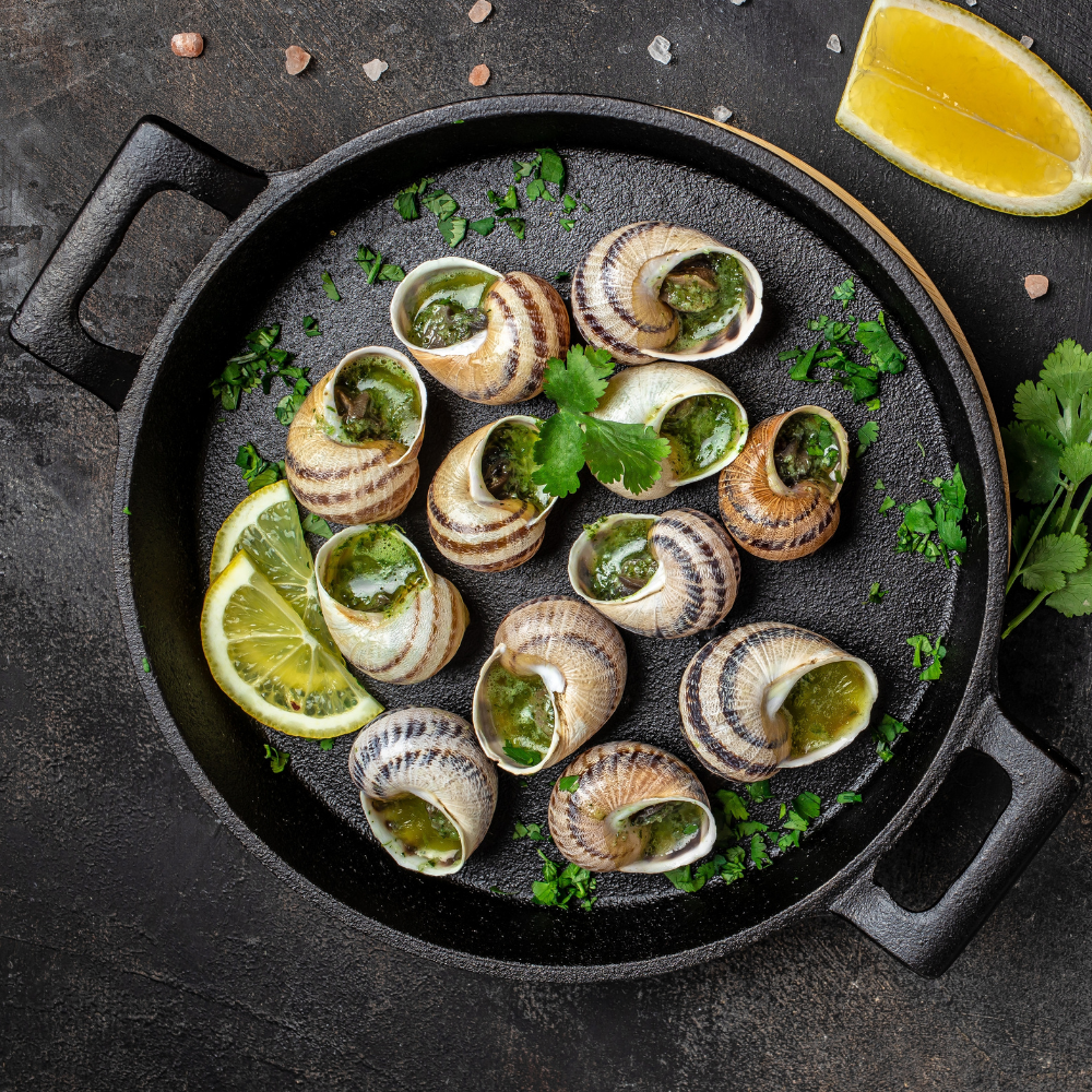 Sabarot Burgundy Snails 2dz