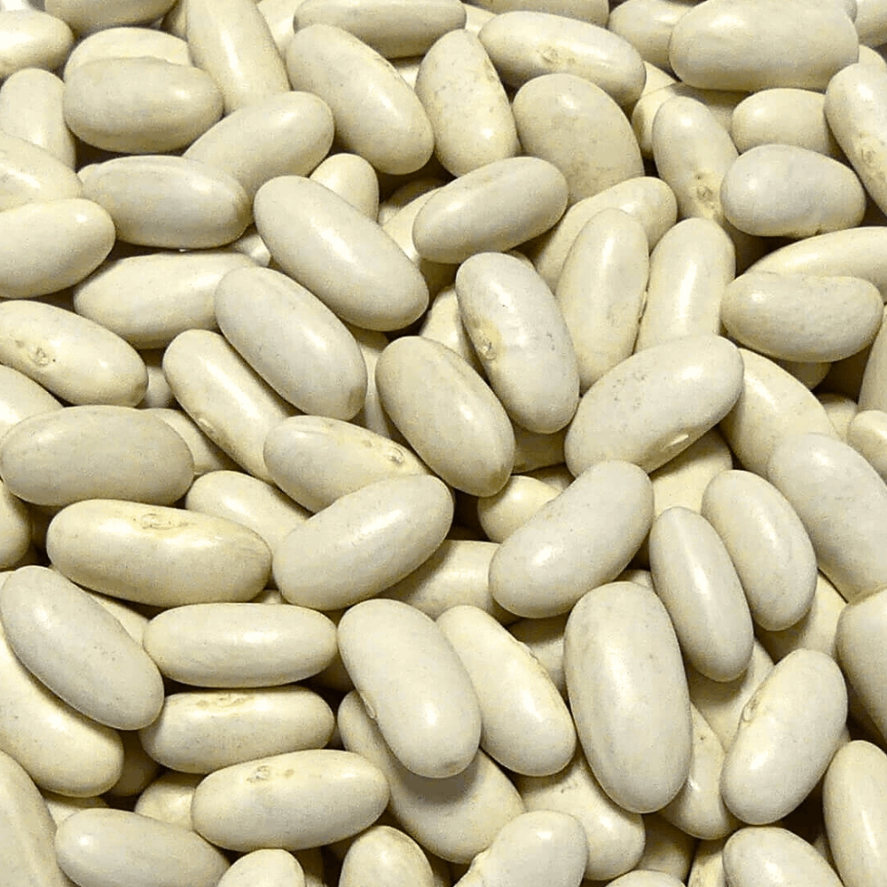 Sabarot Dried Mogettes from Vendee 500g