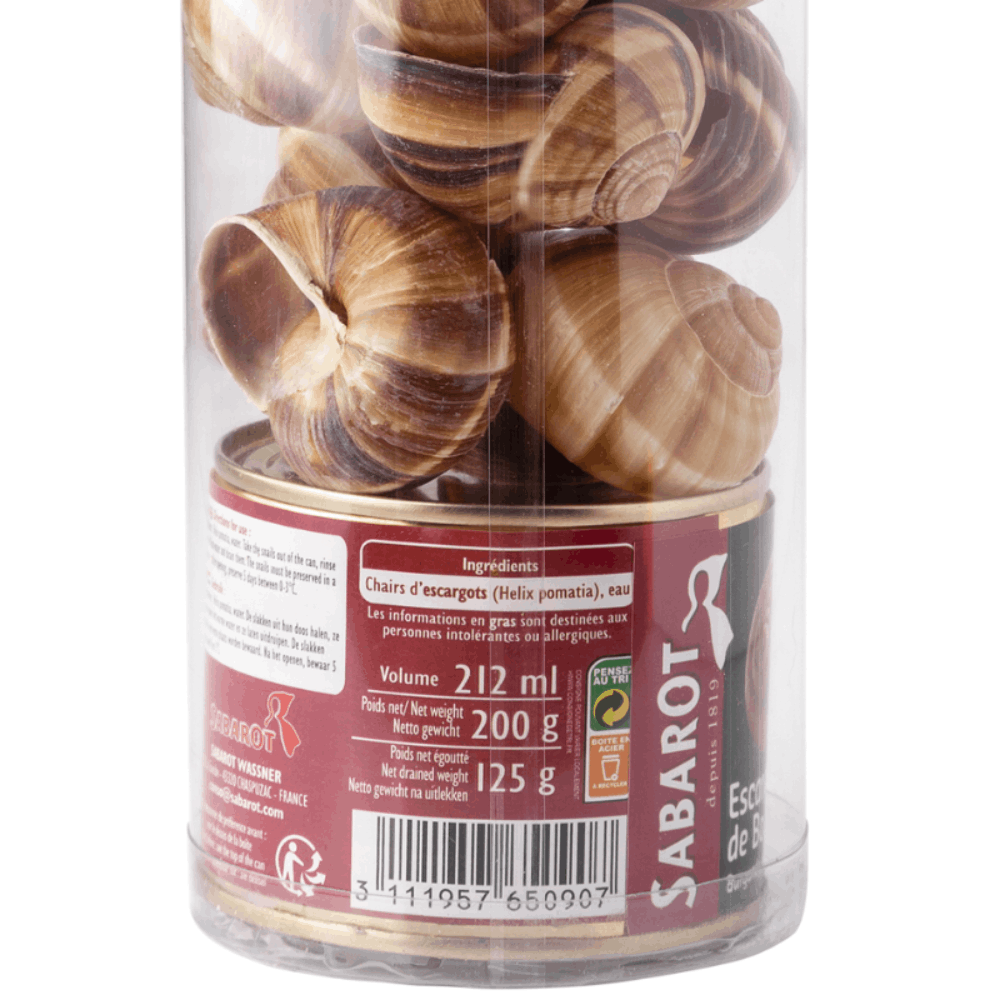 Sabarot Burgundy Set Snails and Shells 2dz